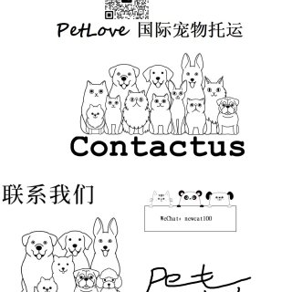 PetLove 国际宠物托运...