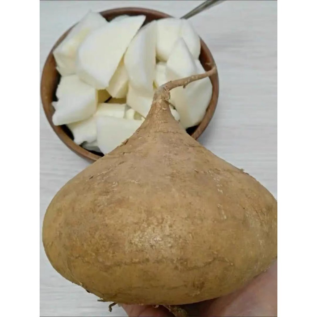 凉薯