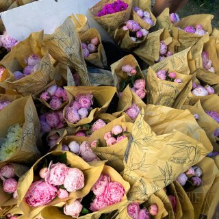 多伦多夏季1个月1次的花市市集我赶上了💐...