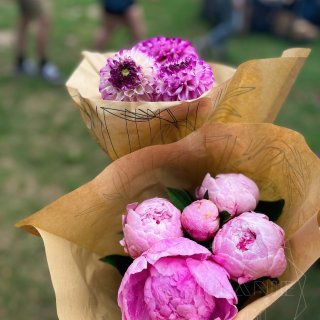 多伦多夏季1个月1次的花市市集我赶上了💐...