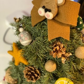 一颗真的小圣诞松树，放在家里香香的太可爱...