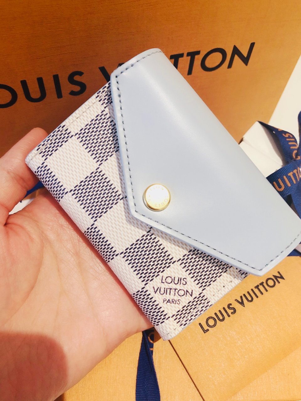 Zoé Wallet Damier Azur in Blue - Small Leather Goods N60462 | LOUIS VUITTON ®