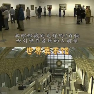 豆瓣高分➕欧洲美术馆🎨纪录片...