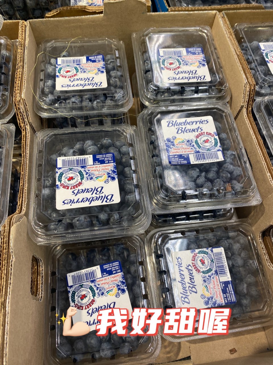 Nofrils藍莓好甜