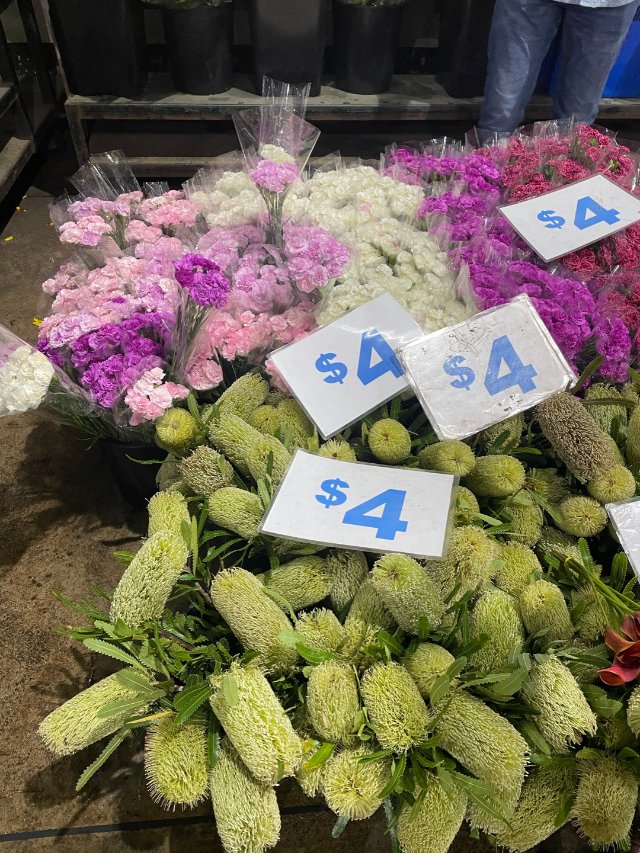 周六的早晨一起逛花市吧！悉尼鲜花市场太好逛了吧！