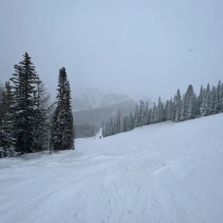 滑雪⛷️