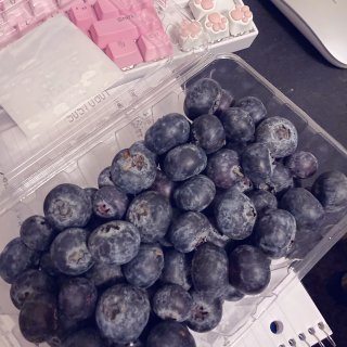 Costco超大颗蓝莓🫐...