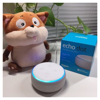 Echo Dot——Amazon PDA...