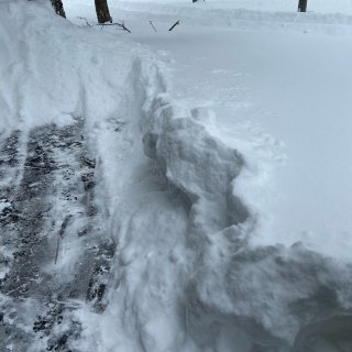 今天铲出一条雪路...