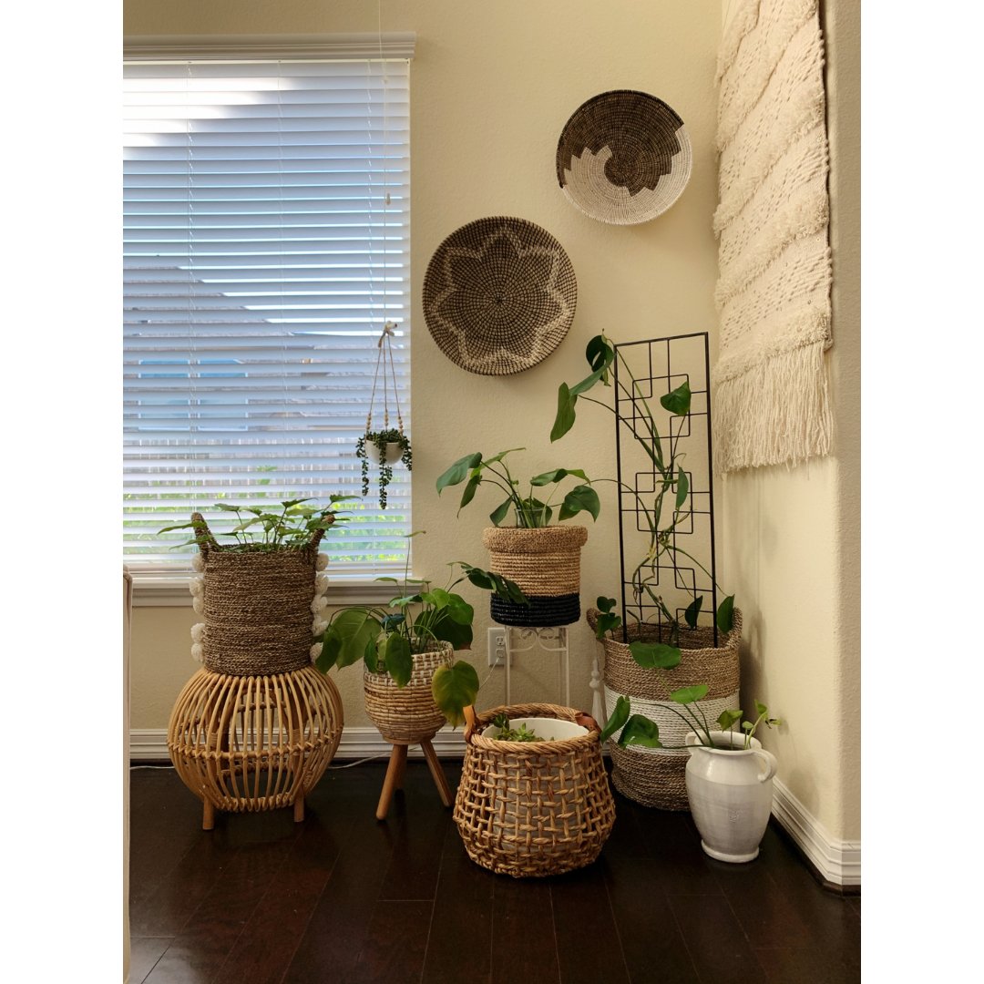 室内小花园一角