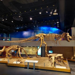 恐龙化石博物馆...