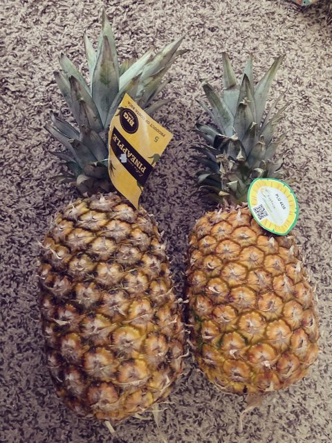 Costco和Safeway菠萝🍍哪家强