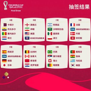 2022世界杯小组赛｜你最喜欢哪个国家队...