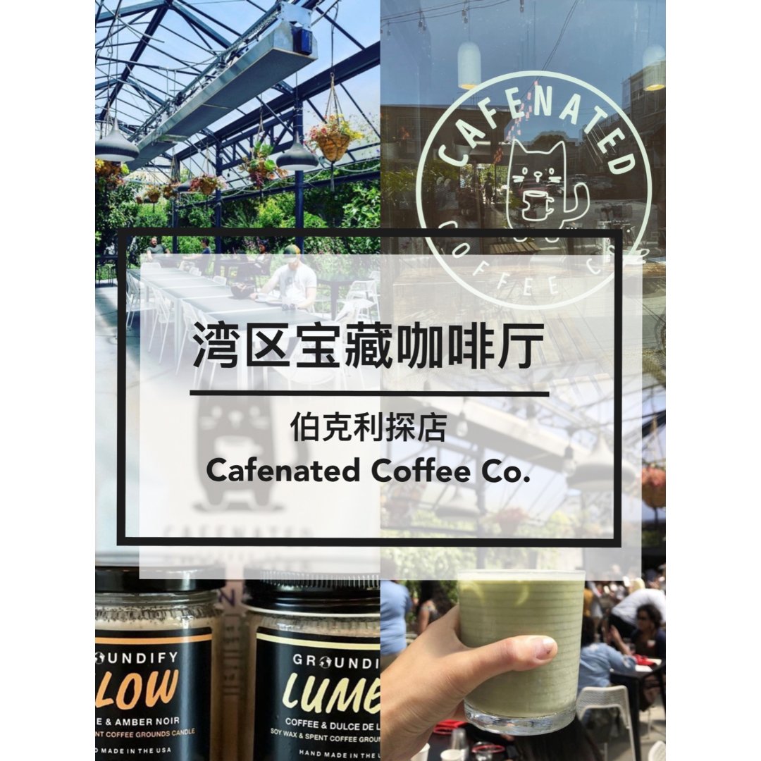 湾区伯克利宝藏咖啡厅brunchcafenated