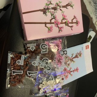 积分兑换的花花lego到货啦～...