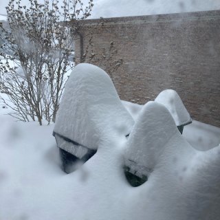 大雪天，星爸爸喊你出门喝咖啡...