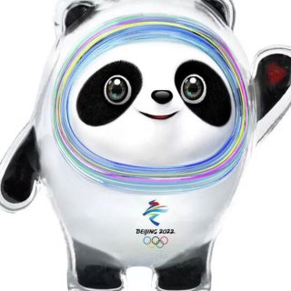 Rvtkak Chinese Panda Doll 2022 Winter Olympic Games Mascot Bing Dwen Dwen Plush Toys Cute Panda Nap Pillow for Bedroom Living Room Stuffed Animal Cushion Dun Dun Doll : Amazon.ca: Everything Else