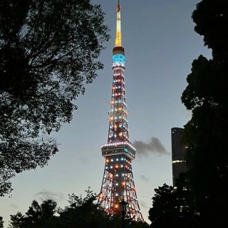 黑五旅行Tokyo Tower...