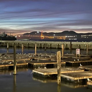 旧金山🌉