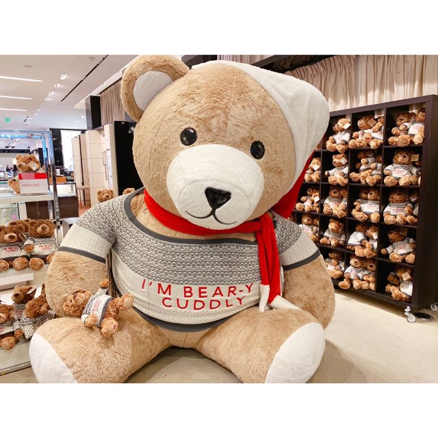 teddy bear - 晒货品牌 - 北美省钱快报 dealmoon.com