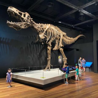 澳洲博物馆终于开门了！免费开放！...