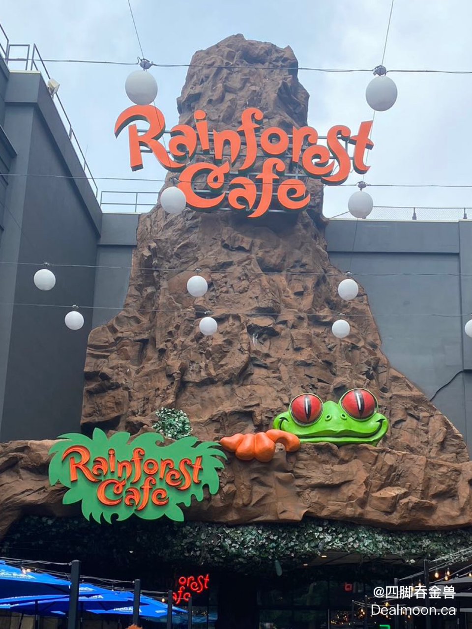 尼亚加拉瀑布打卡网红餐厅Rainfore...