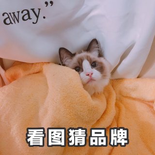 猫咪生骨肉推荐：Radcat（天冷了被窝...