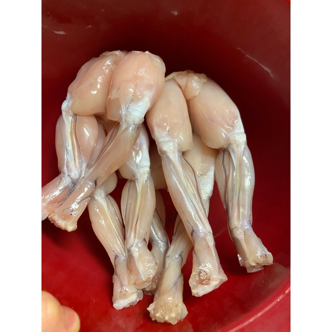 辣炒田鸡腿
