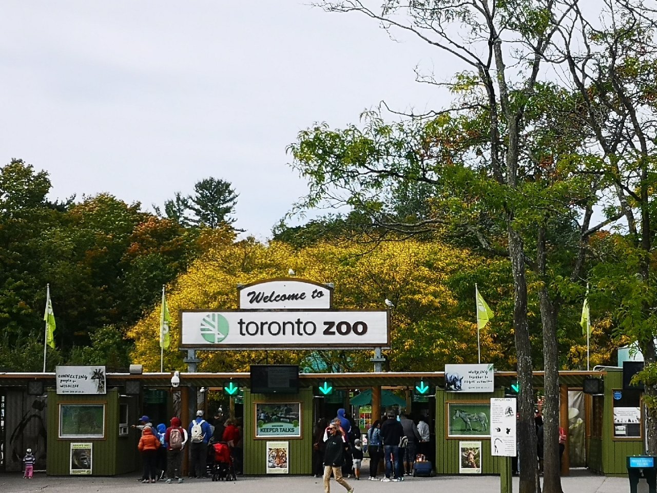 秋天才是游览多伦多动物园最好的季节💯...