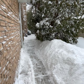 今天铲出一条雪路...