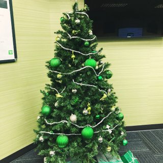 TD的圣诞树我愿称之为年度最绿👌...