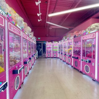 多伦多新开了1家超大一片粉红豹墻夹娃娃店...