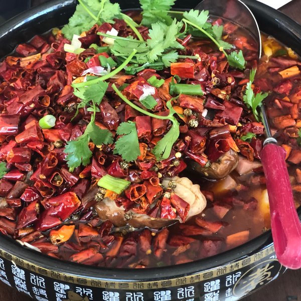 发布了推荐菜6月前 毛血旺 食材丰富新鲜不腥辣度正好