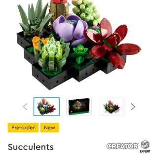 Lego植物系列开始预售了！！！...