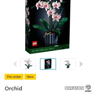 Lego植物系列开始预售了！！！...