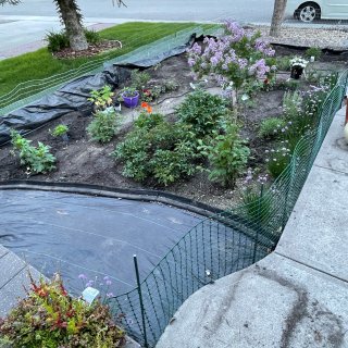 DIY改造前花园
