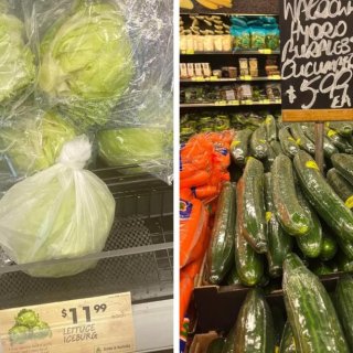 继冰山白菜后，澳洲超市再现“天价”蔬菜 ...