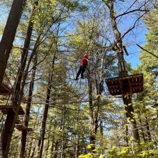 Treetop Trekking 新增项...
