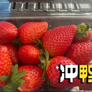 Nofrills草莓🍓特價$1.99可入...