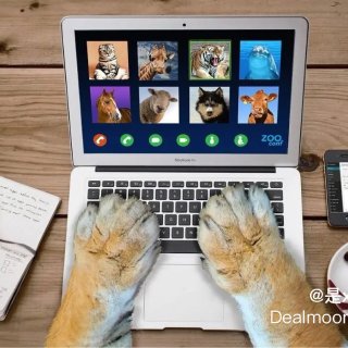 Dealmoon.com