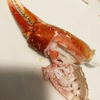 龙虾🦞➕🦀️雪蟹爪...