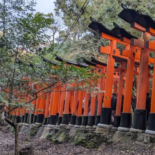 京都寺庙神社之行...