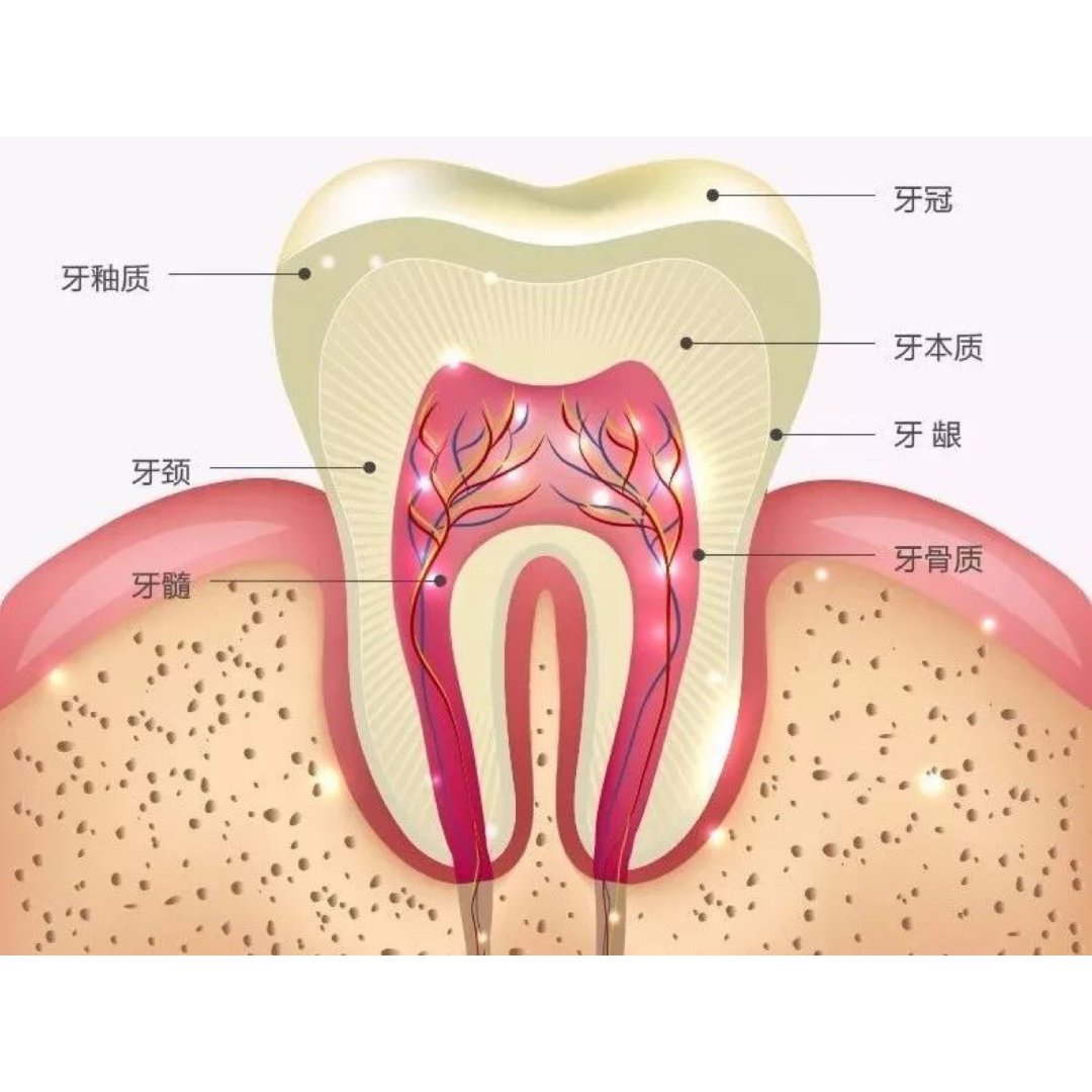 regenerate牙膏保护牙釉质