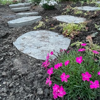 DIY花园改造之石头路完工...