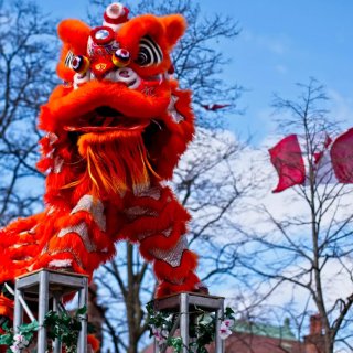 多伦多迎中国年活动来啦🔥舞龙舞狮美食小吃...