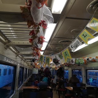托马斯小火车+多伦多动物园=完美万圣节周...