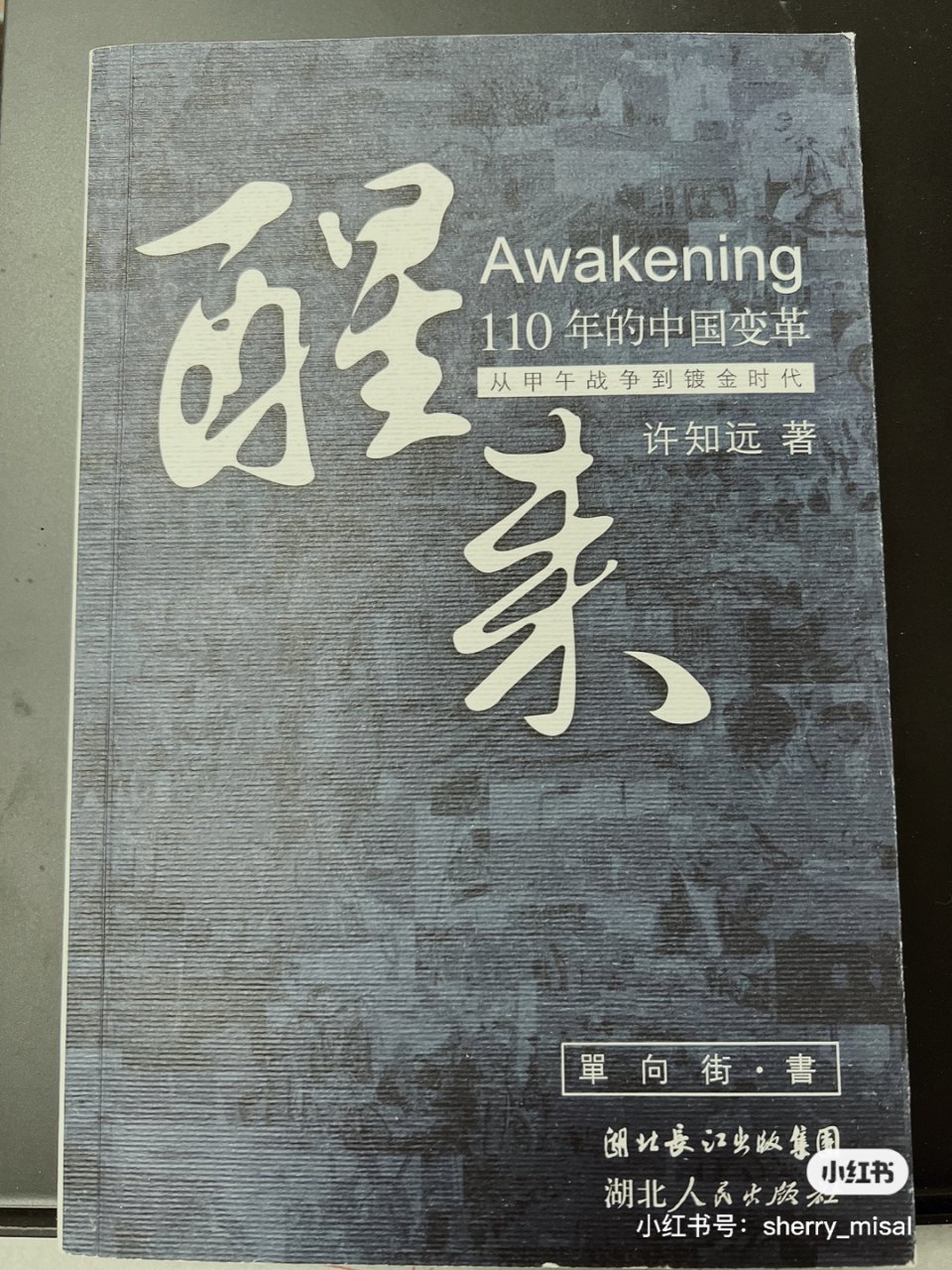 许知远—《醒来-110年的中国变革》 ...