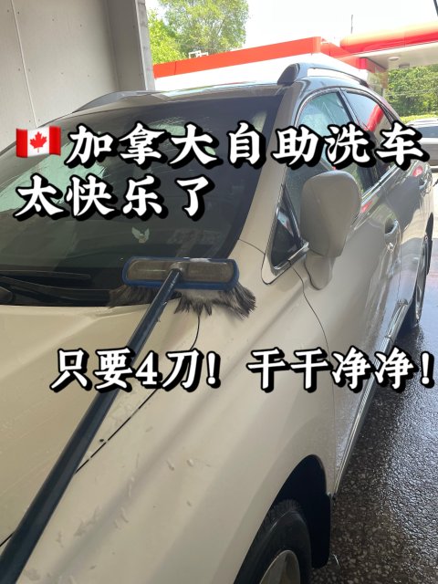 🇨🇦夏日自助洗车| 自己动手只要4刀我的天