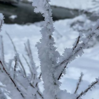 雪花❄️