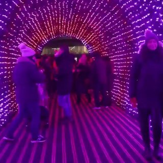 免费观看🆓多伦多最高的LED圣诞树，超炫...